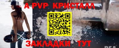 a pvp Кингисепп