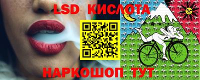 ГАЛЛЮЦИНОГЕННЫЕ ГРИБЫ Кинель