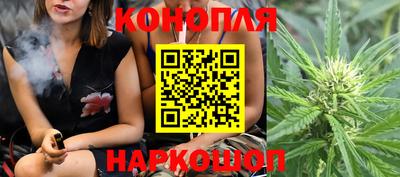 a pvp Кингисепп