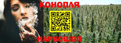 a pvp Кингисепп