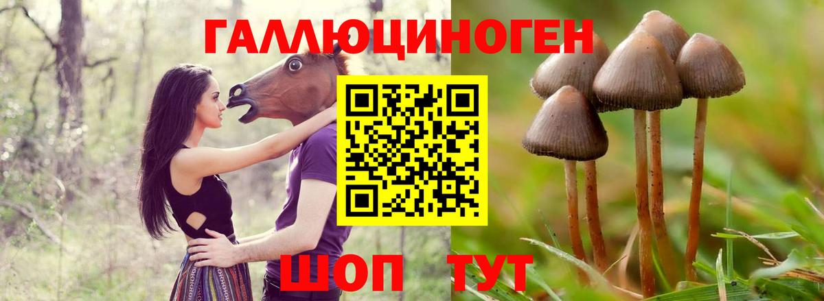Галлюциногенные грибы мухоморы Иваново